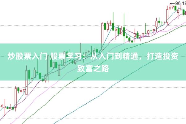 炒股票入门 股票学习：从入门到精通，打造投资致富之路