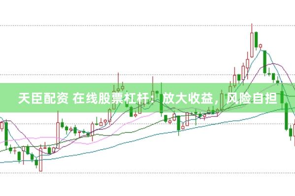 天臣配资 在线股票杠杆：放大收益，风险自担