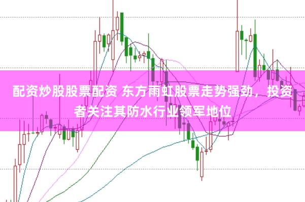 配资炒股股票配资 东方雨虹股票走势强劲，投资者关注其防水行业领军地位