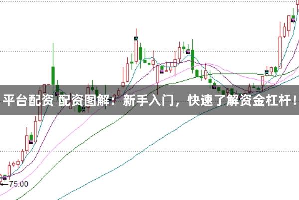 平台配资 配资图解：新手入门，快速了解资金杠杆！