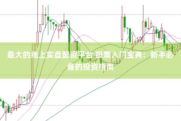 最大的线上实盘配资平台 股票入门宝典：新手必备的投资指南