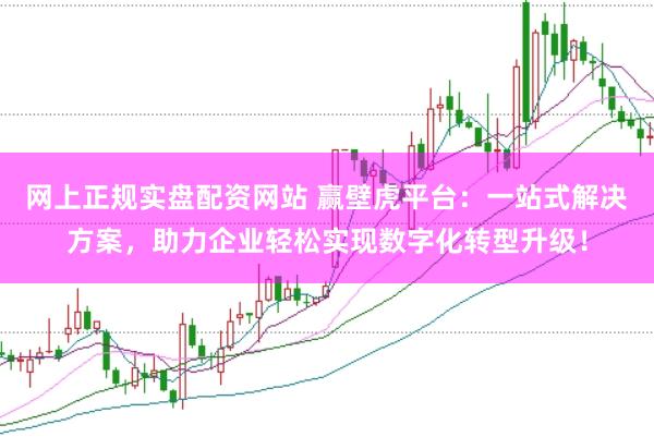 网上正规实盘配资网站 赢壁虎平台：一站式解决方案，助力企业轻松实现数字化转型升级！