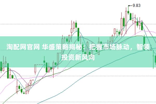 淘配网官网 华盛策略揭秘：把握市场脉动，智领投资新风向