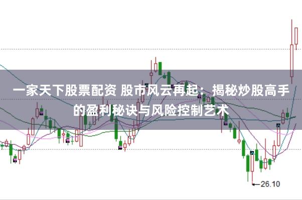 一家天下股票配资 股市风云再起：揭秘炒股高手的盈利秘诀与风险控制艺术
