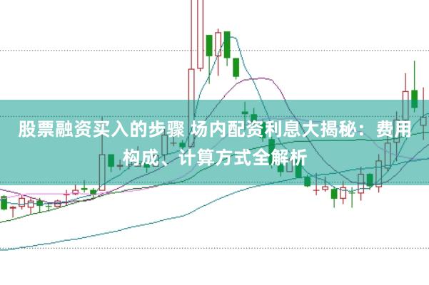 股票融资买入的步骤 场内配资利息大揭秘：费用构成、计算方式全解析