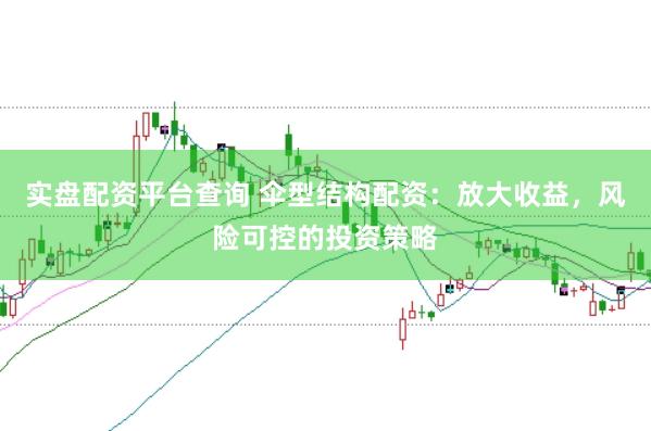 实盘配资平台查询 伞型结构配资：放大收益，风险可控的投资策略