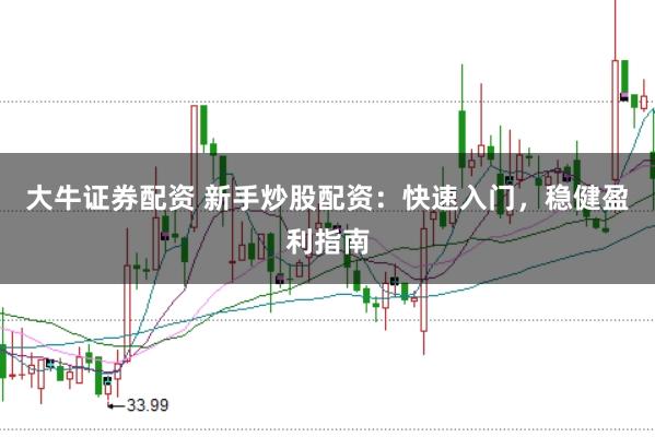 大牛证券配资 新手炒股配资：快速入门，稳健盈利指南