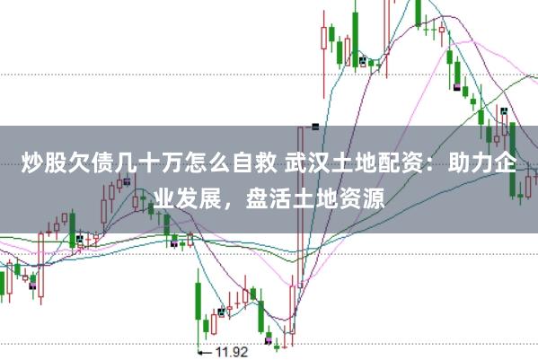 炒股欠债几十万怎么自救 武汉土地配资：助力企业发展，盘活土地资源