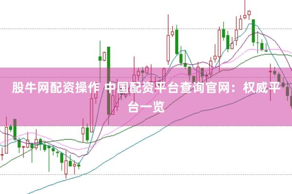 股牛网配资操作 中国配资平台查询官网：权威平台一览
