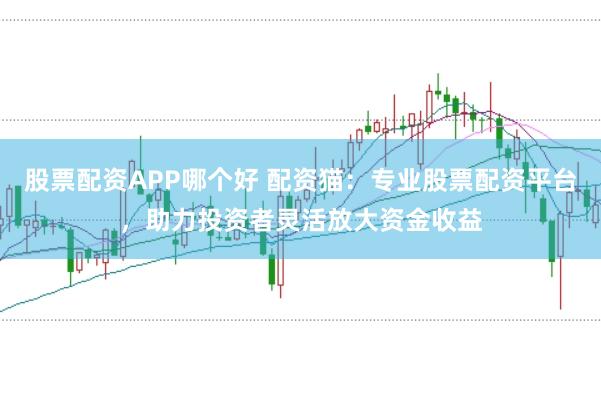 股票配资APP哪个好 配资猫：专业股票配资平台，助力投资者灵活放大资金收益