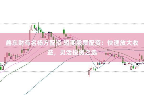 鑫东财有名杨方配资 短期股票配资：快速放大收益，灵活投资之选