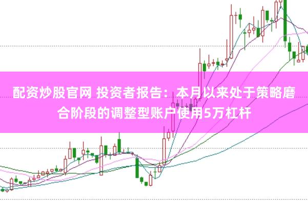 配资炒股官网 投资者报告：本月以来处于策略磨合阶段的调整型账户使用5万杠杆