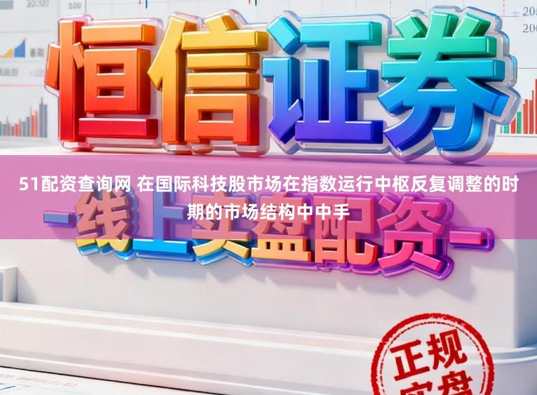 51配资查询网 在国际科技股市场在指数运行中枢反复调整的时期的市场结构中中手