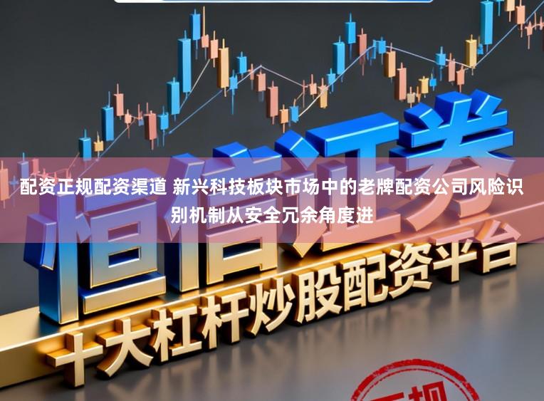 配资正规配资渠道 新兴科技板块市场中的老牌配资公司风险识别机制从安全冗余角度进